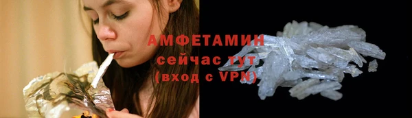крисы Краснослободск