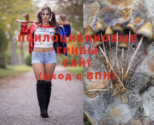 крисы Краснослободск