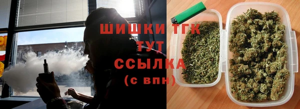 крисы Краснослободск