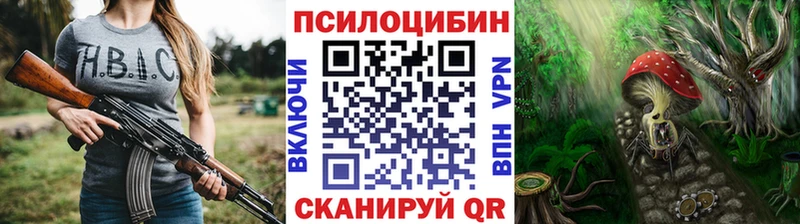 Псилоцибиновые грибы ЛСД  Купить закладки  Черкесск 